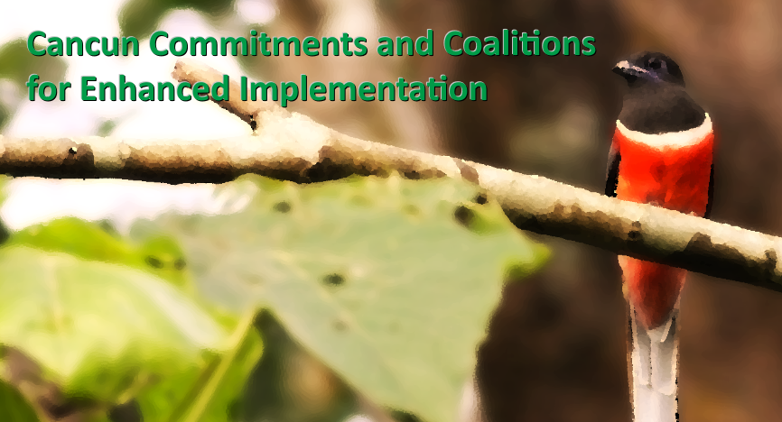 Cancun Commitments and Coalitions for Enhanced Implementation