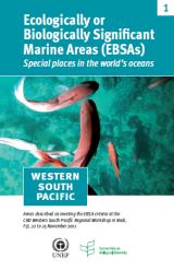 Ecologically or Biologically Significant Marine Areas (EBSAs) - Western South Pacific 